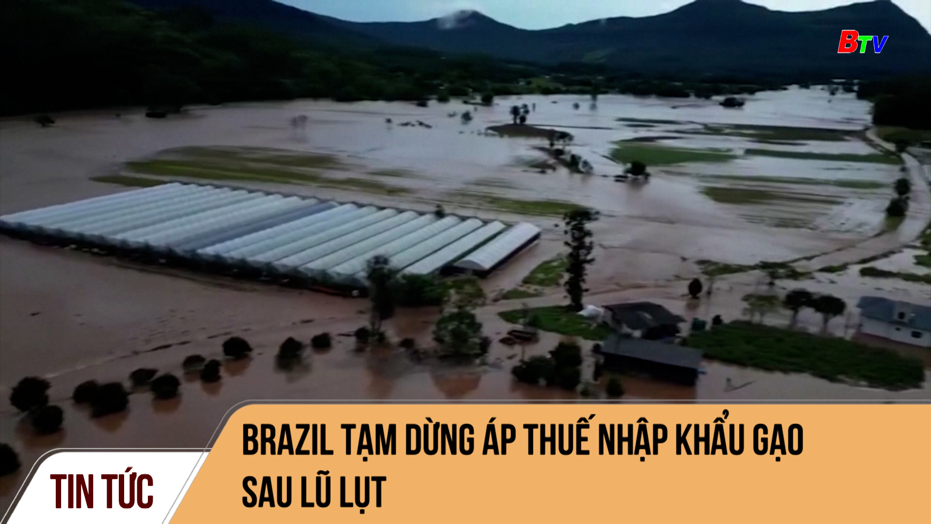 Brazil tạm dừng áp thuế nhập khẩu gạo sau lũ lụt
